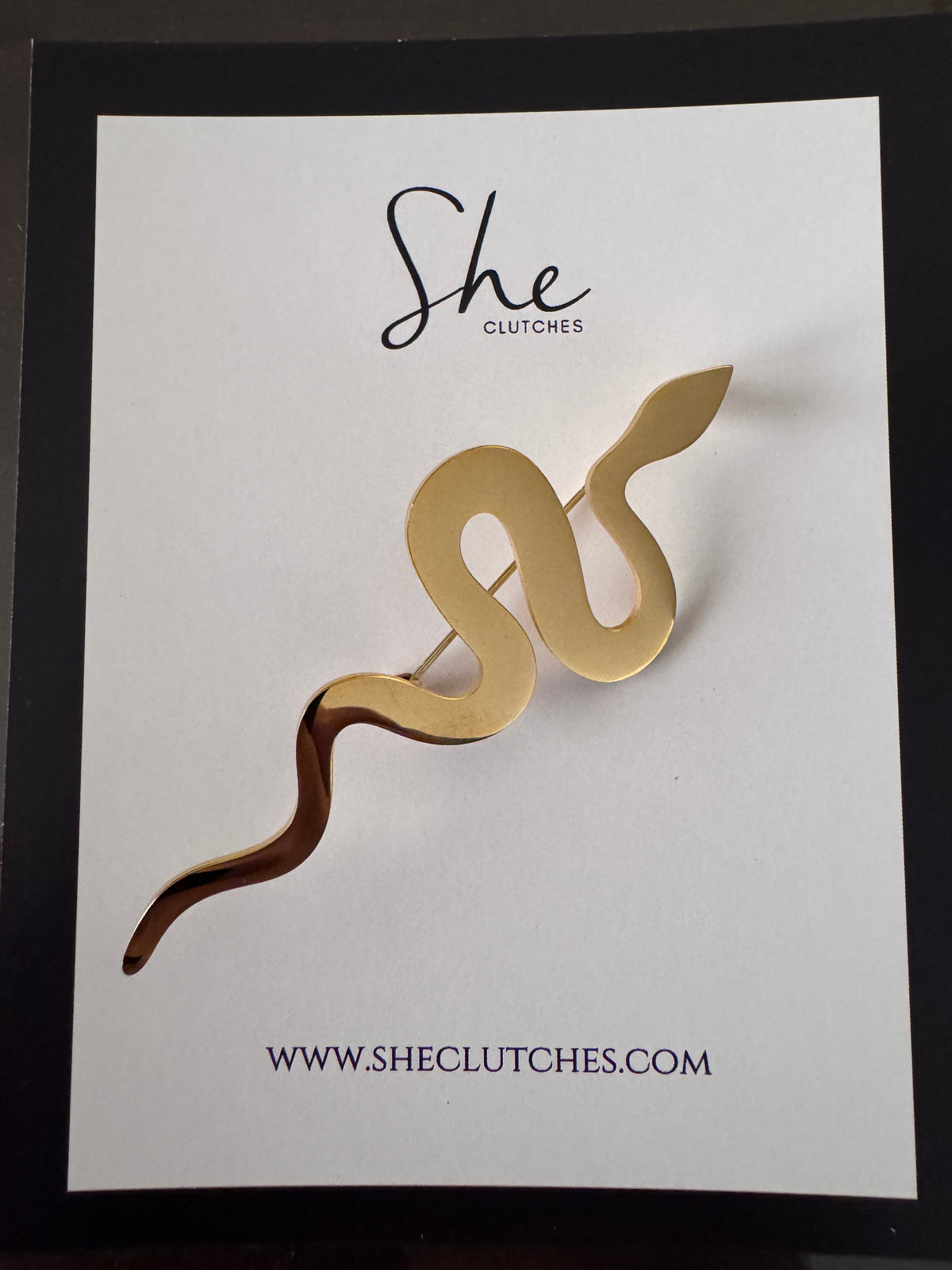 Snake Stainless steel brooch