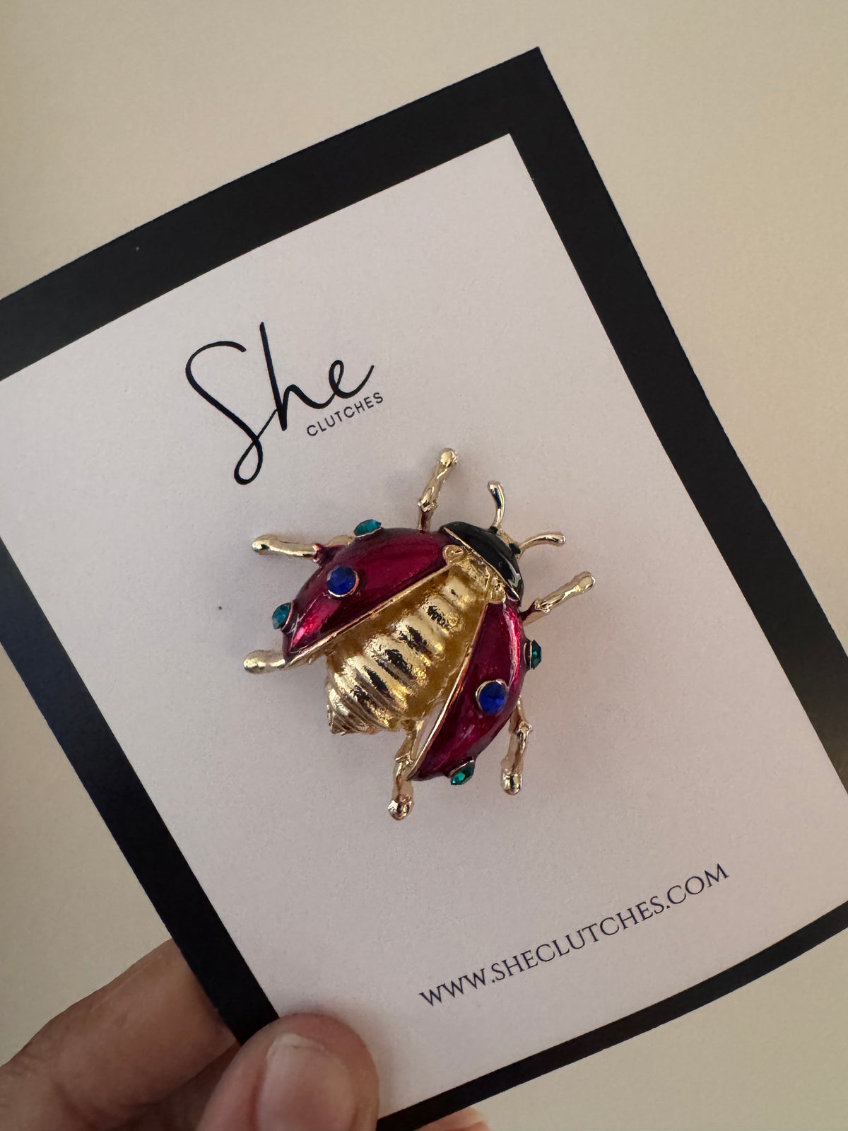 Lady Bug Brooch